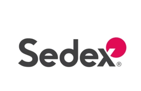 2023 Reddy Lighting(SANAG) Passed Sedex Inspection
