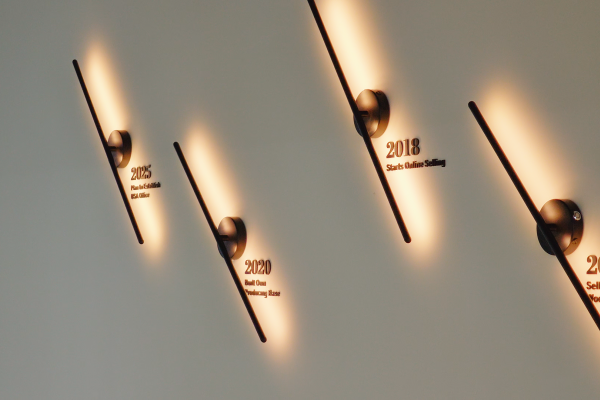 2025 Reddy Lighting Company Overview
