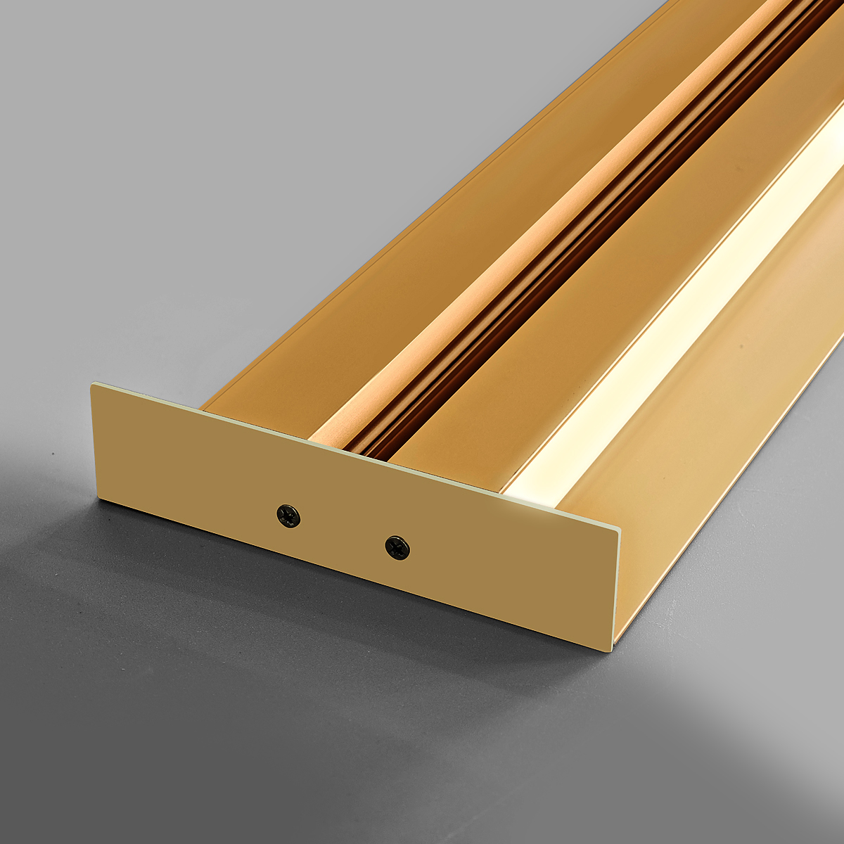 Up and Down LED Profile Light