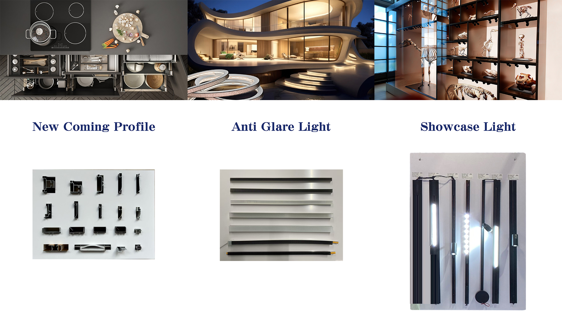 Reddy Lighting 2025 New Prodcut Series 2